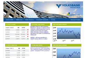 Volksbank Treasury